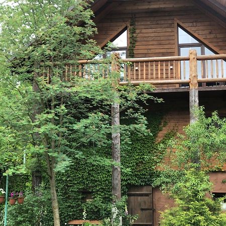 На Галіції Villa Beloberezka Ngoại thất bức ảnh