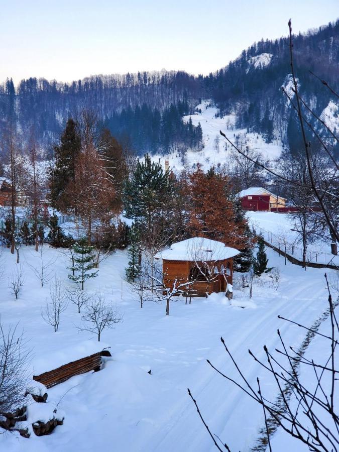 На Галіції Villa Beloberezka Ngoại thất bức ảnh